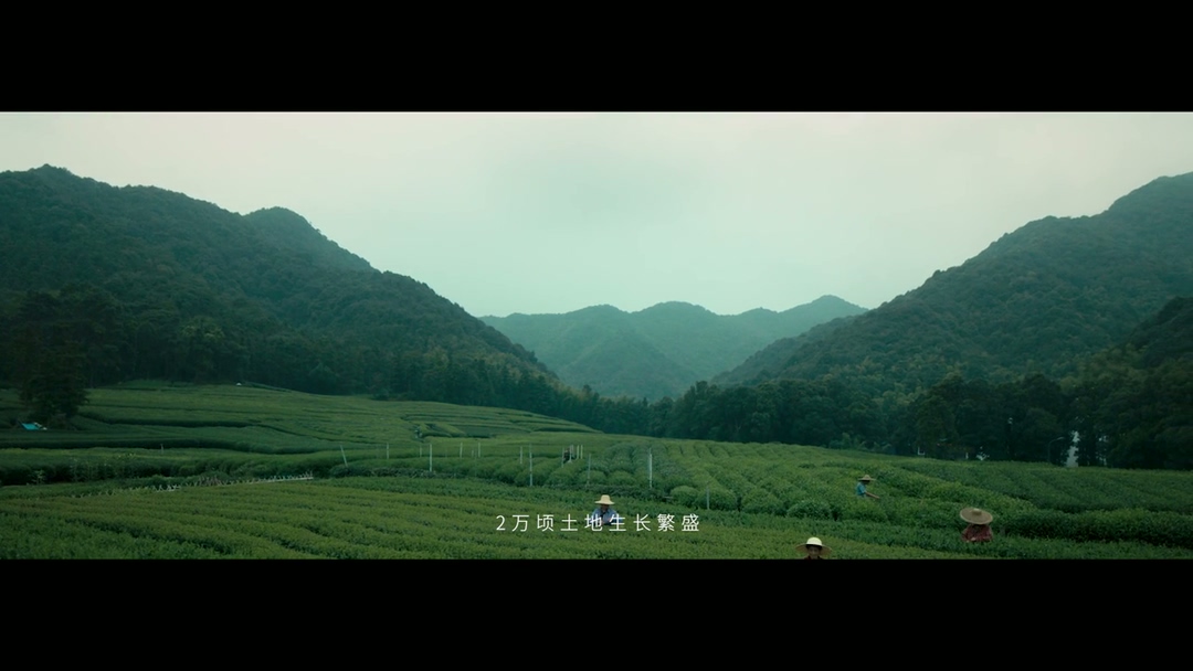 北京宣传片制作公司20251125_110945.563.jpg
