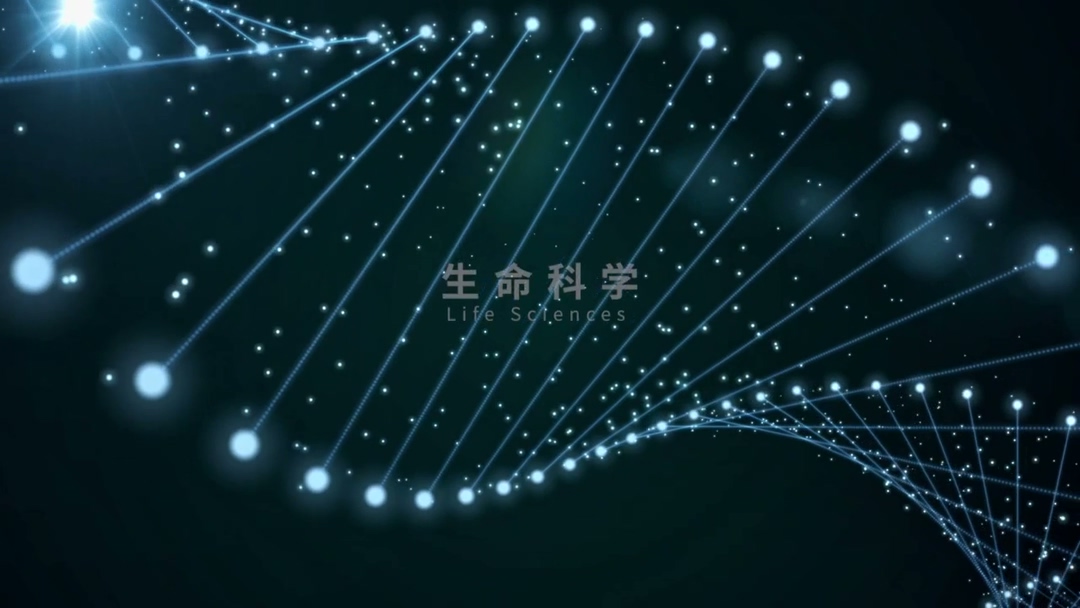 北京宣传片视频制作公司56.jpg