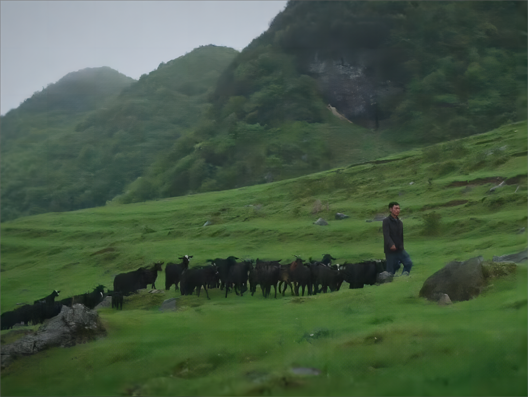 微信图片_20240520151334(1).png